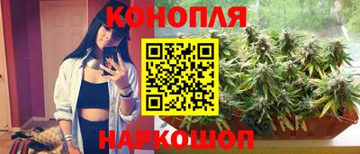 винт Шахты