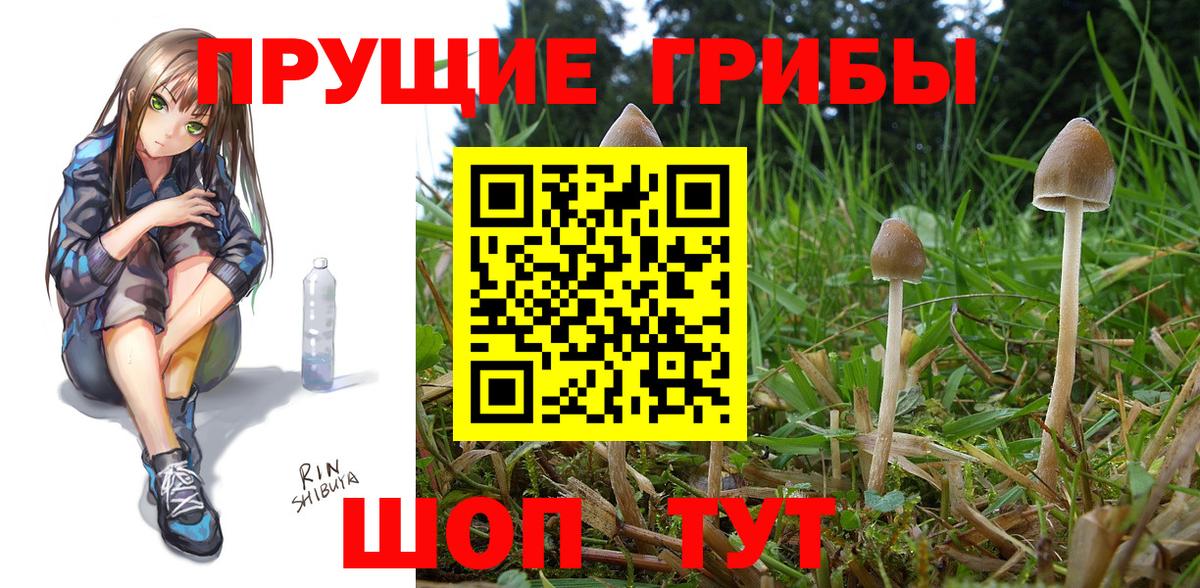 Галлюциногенные грибы Psilocybine cubensis  Вход с VPN  Нерюнгри 
