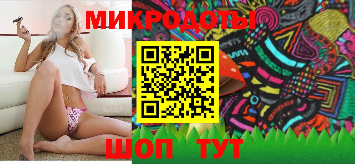 Псилоцибиновые грибы GOLDEN TEACHER Нерюнгри