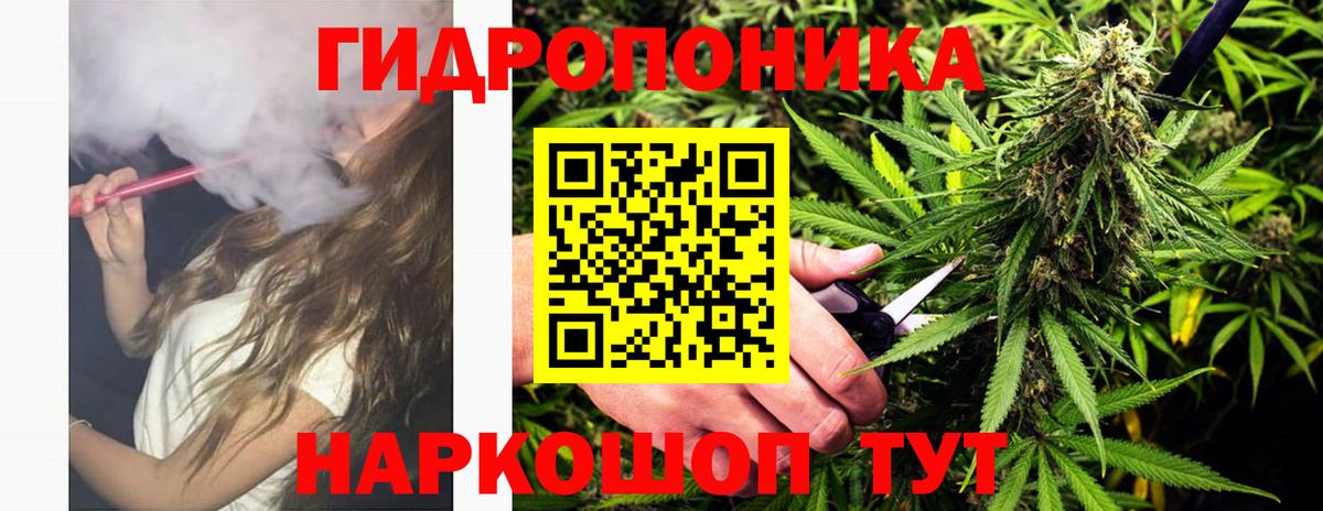 Каннабис семена Нерюнгри
